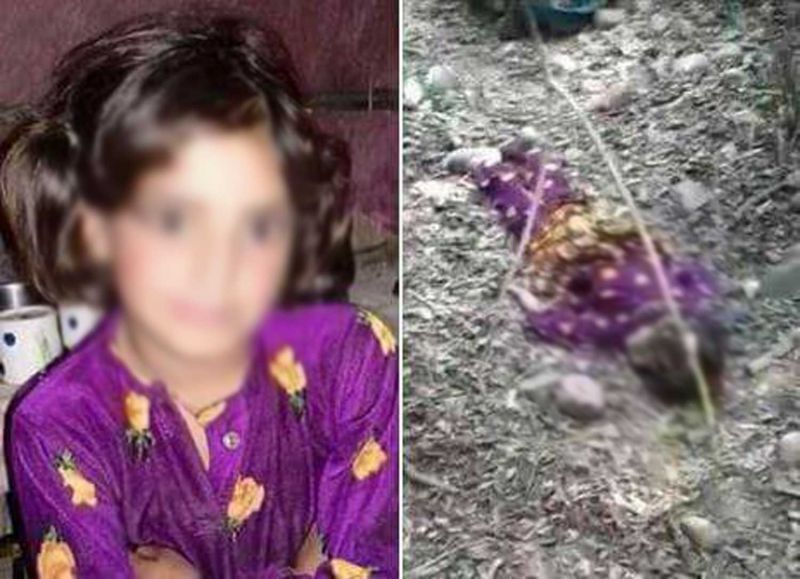 Divisive politics over rape-murder of Kathua's 8-year-old girl 'deplorable': Minister