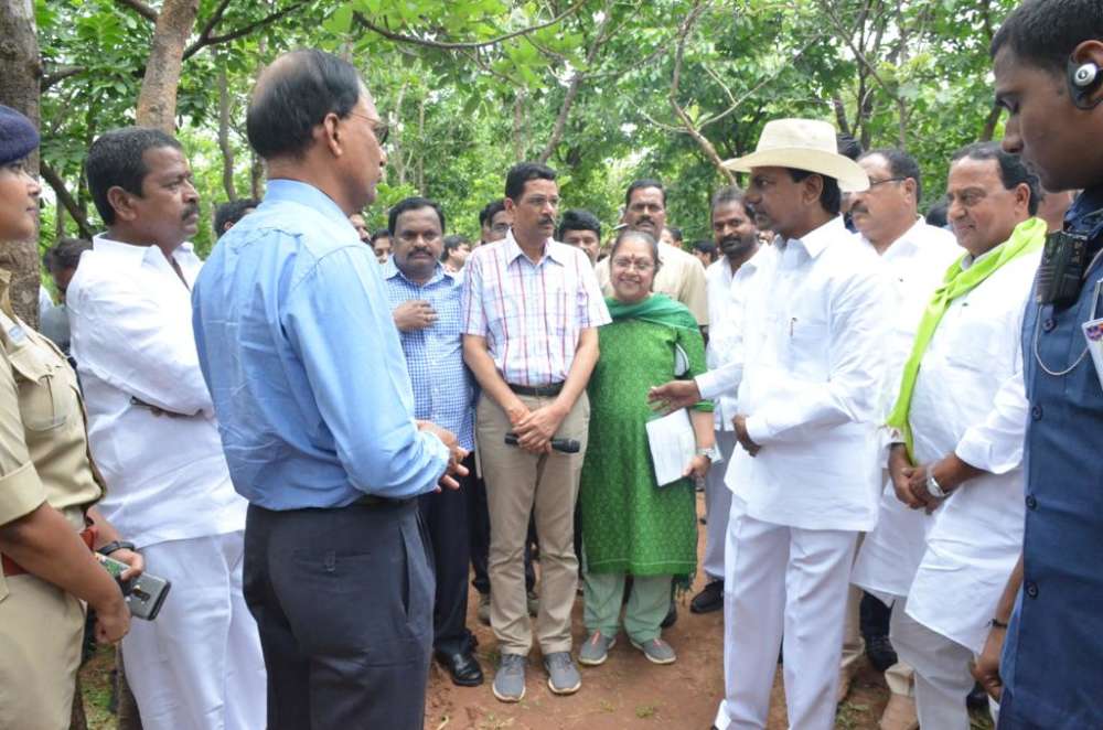TS: CM directs collectors to prepare plan for revival of forests