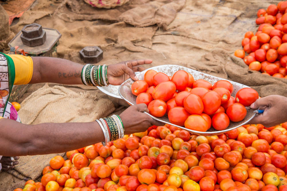 Hyderabad: Tomato prices ease as import resumes