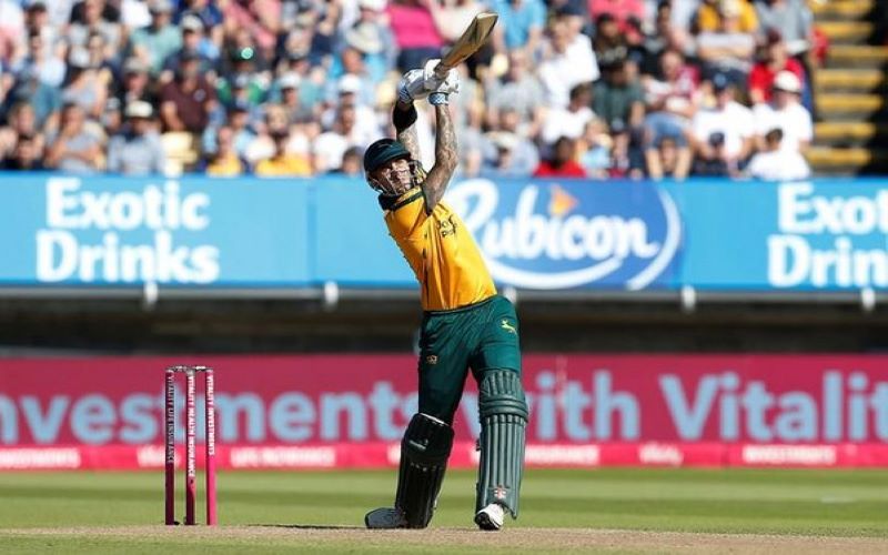 Sydney Thunders signs Alex Hales for BBL