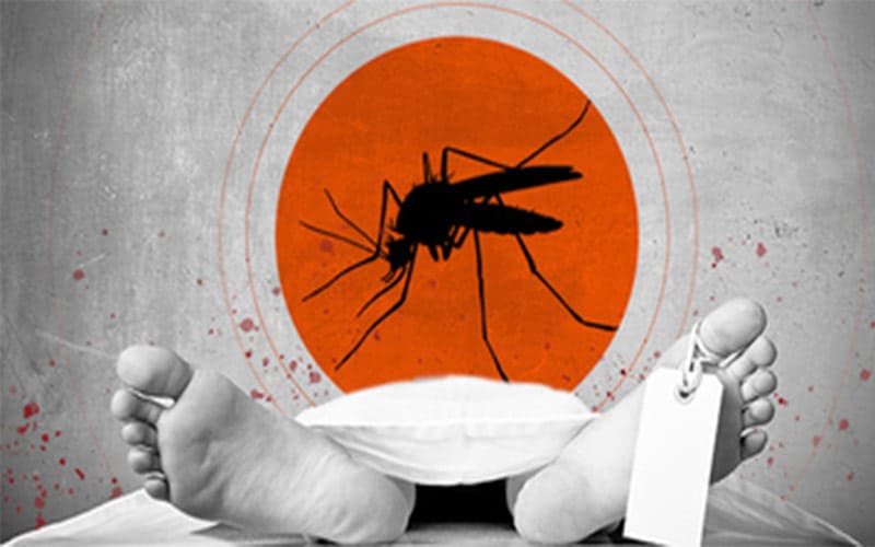 Dengue claims four of a family in Mancherial