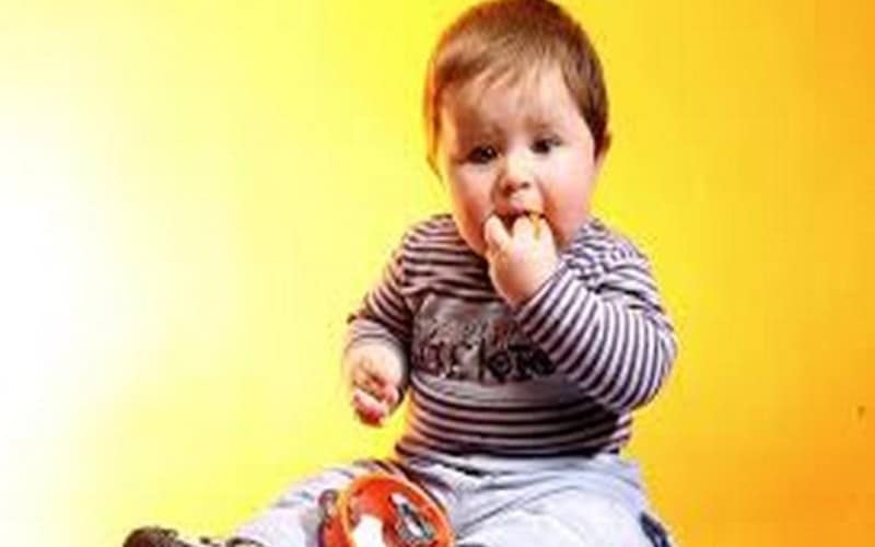 Structural differences in brain found in obese children