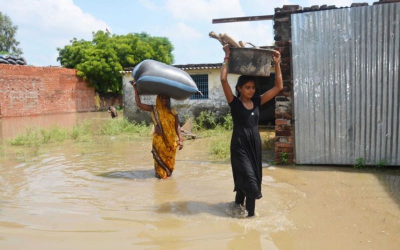 Odisha, Arunachal Pradesh to receive heavy rainfall today: IMD