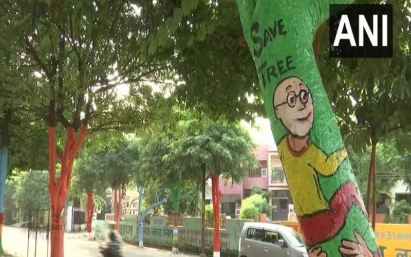 Trees painted with colours as part of beautification drive