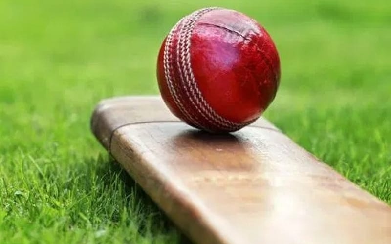 12-year-old dead as flying 'cricket' bat hits head