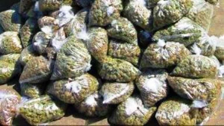 Four Ganja peddlers detained under PD Act in Hyderabad