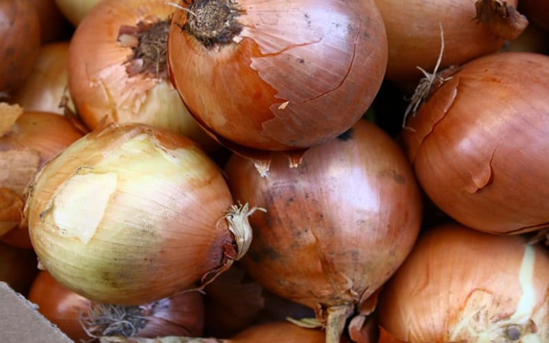 Newly married couple gets 'onions' as wedding gift