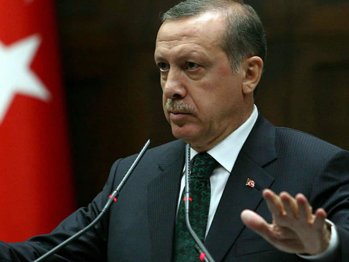 Erdogan says Black Sea grain deal extends for 2 more months