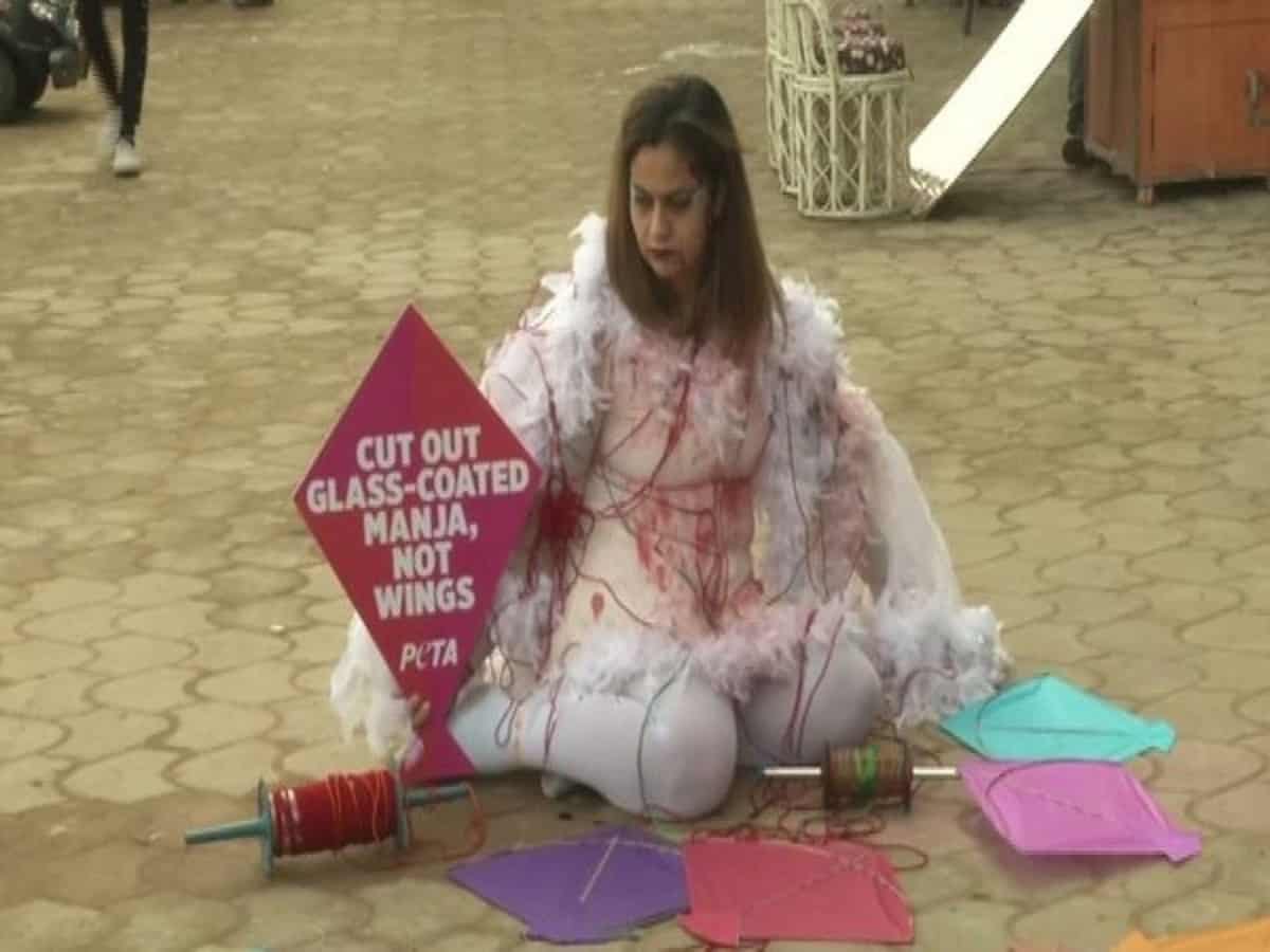 PETA activist laments the plight of birds injured by kite 'manjha'
