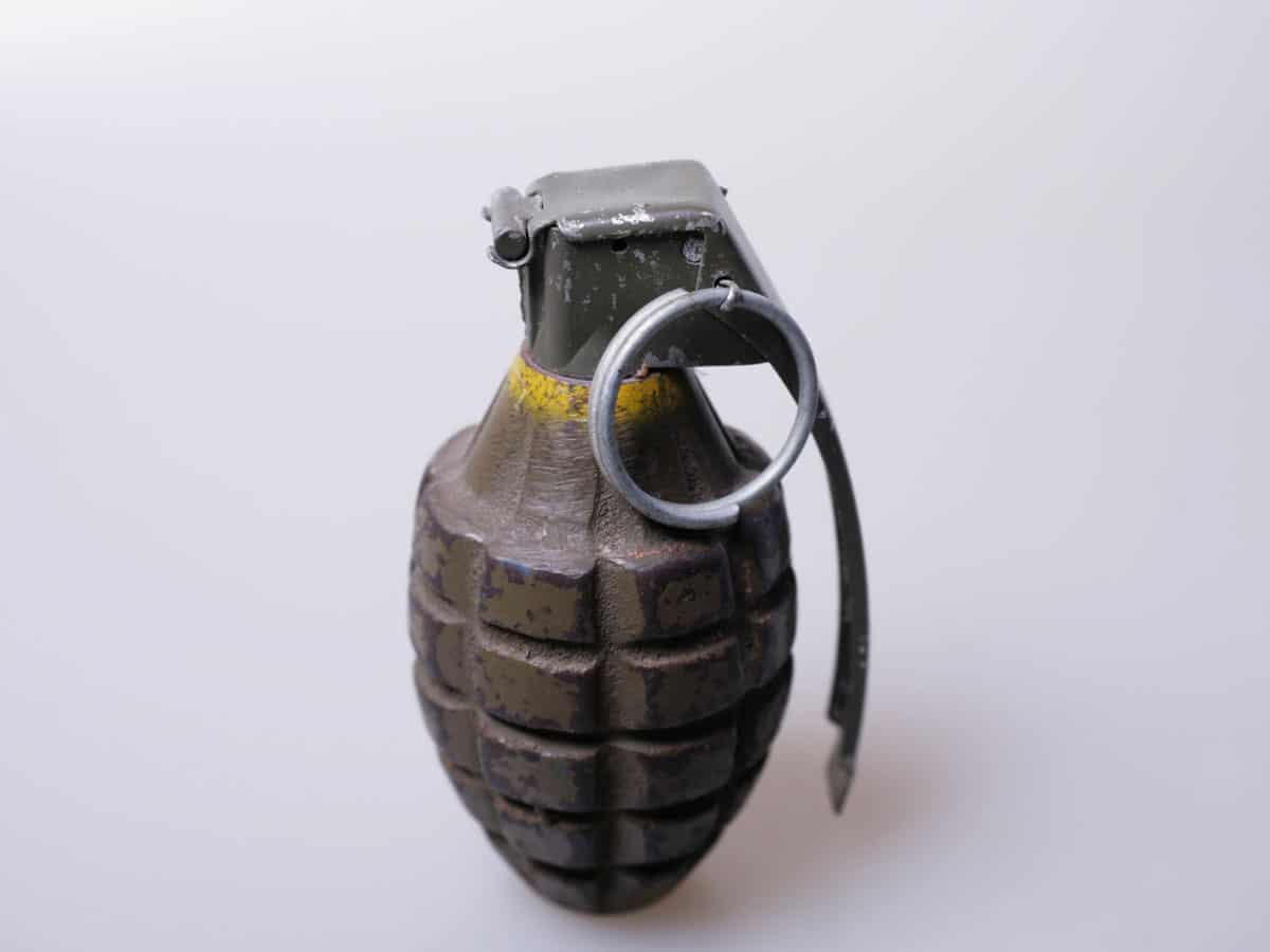 Hand grenade found in outer Delhi's Haiderpur