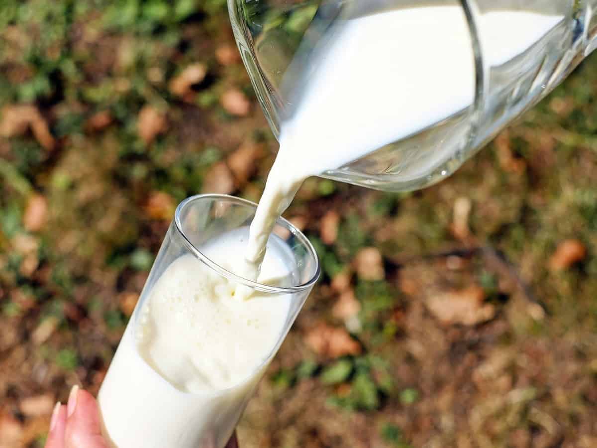 Milk prices hiked in Kerala by Rs 6 per litre