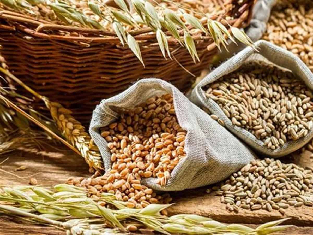 Telangana: 991 cases related to spurious seeds supply were booked in nine years