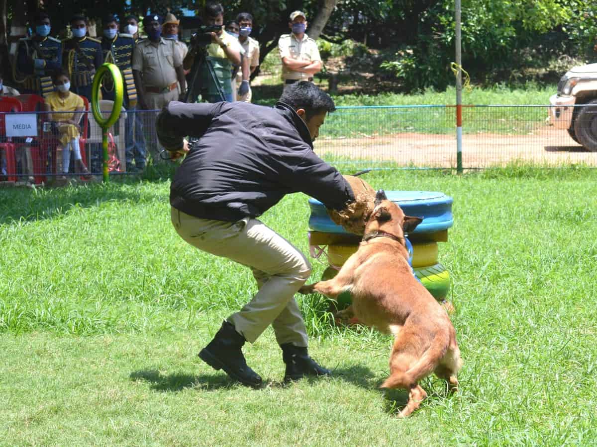 Karnataka Police to recruit 50 dogs at Rs 2.5 crore