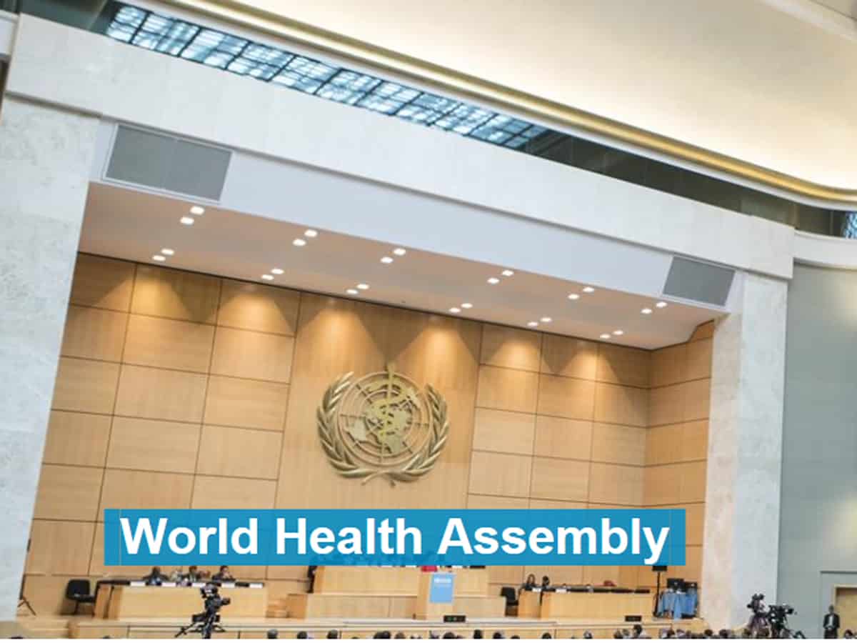 world health assembly