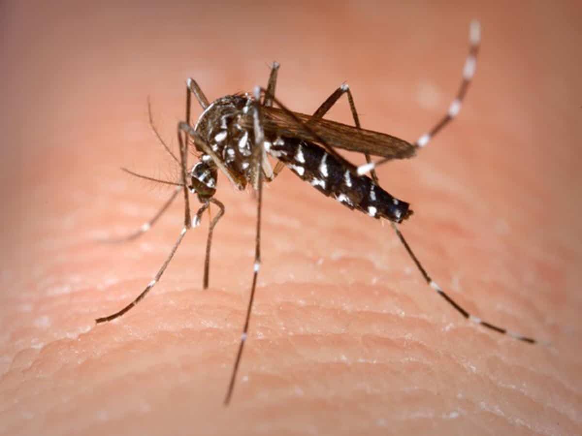 Religious leaders to help in checking dengue in Lucknow