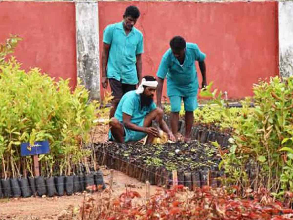 India's biggest plant nursery in jail takes root in Telangana