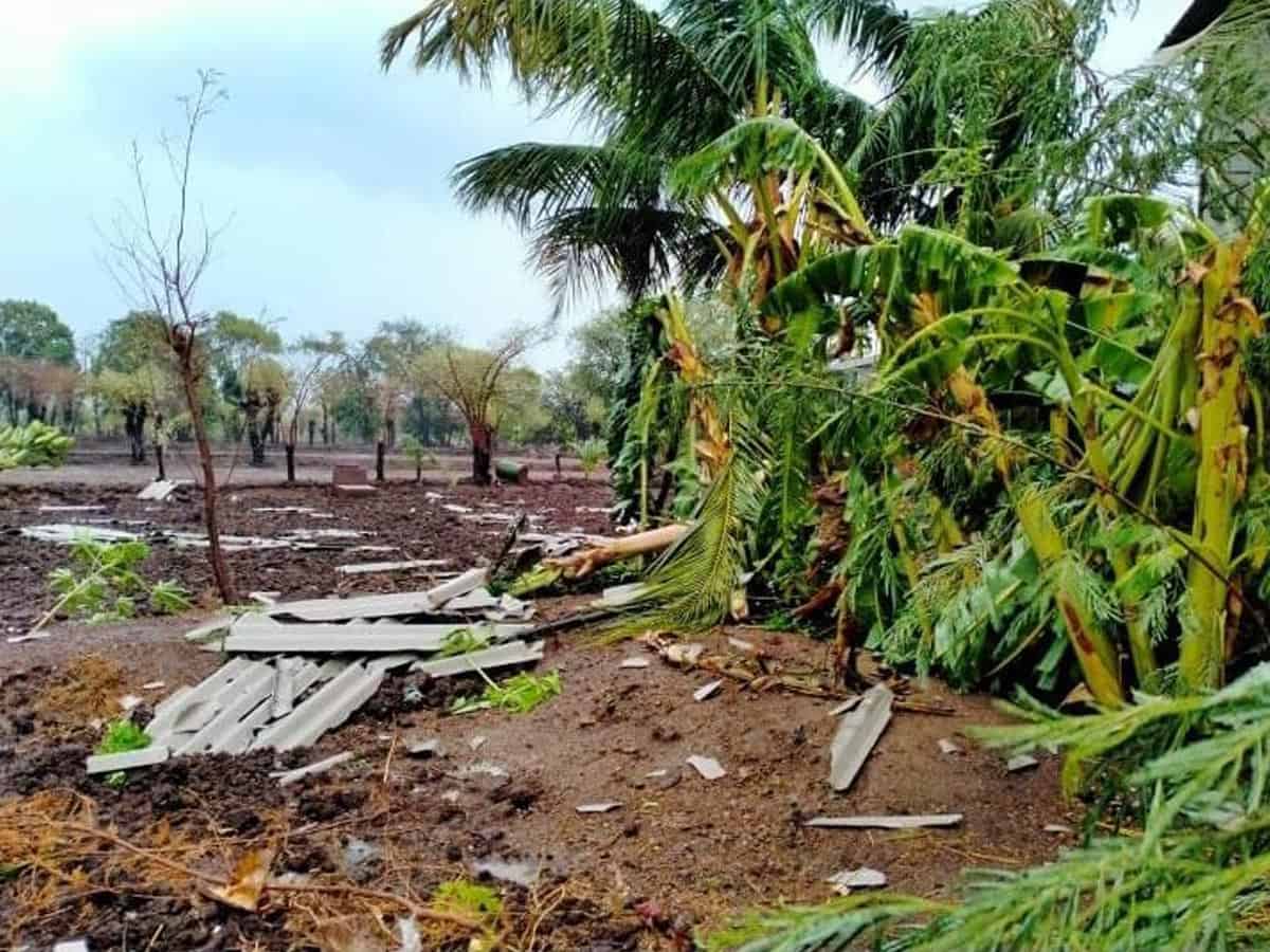 Video: Cyclone Nisarga in Maharashtra