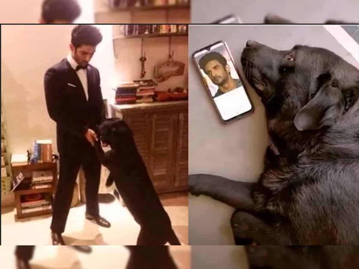 Sushant Singh Rajput's Pet Dog Fudge misses him