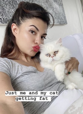 Jacqueline Fernandez posts selfie with pet cat
