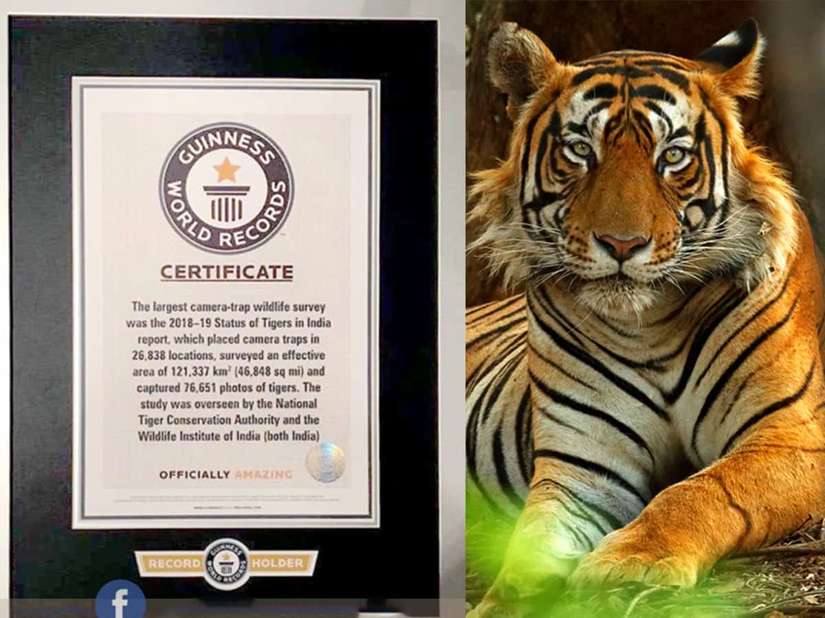 India's 2018 Tiger Census makes it to Guinness Book of World Records