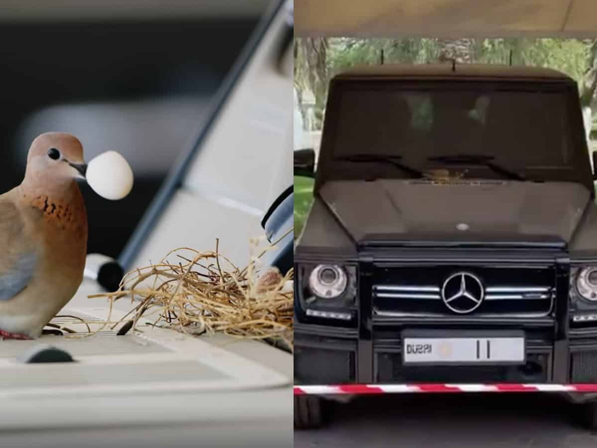 Dubai Crown Prince abandons his Mercedes as bird build's nest on it