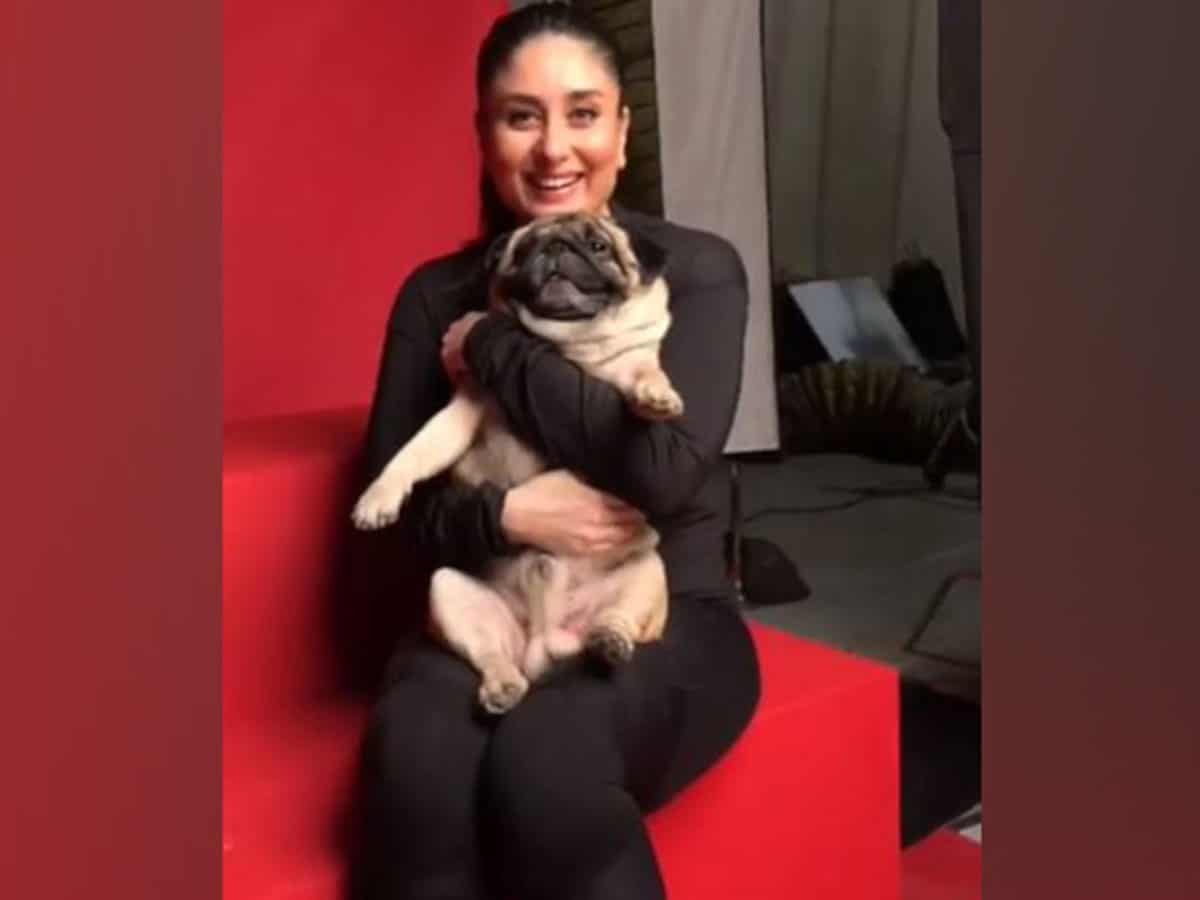 The 'Chup Chupke' star captioned the post as, " Shooting with my fav co-star Leo Di Caprio my Leo." Along with laughing with teary eyes and two red heart emojis. The lovable video posted on the photo-sharing platform garnered more than 3 lakh views within forty-nine minutes of being posted. In awe of the puppy love, actor Anushka Sharma chimed into the comments section and left a Purple Heart emoticon. Of late, the actor has been quite active on social media and has been updating fans on her activities by posting pictures and videos. Earlier, Kareena Kapoor Khan treated her fans to adorable pictures of her little munchkin Taimur Ali Khan as he had some family time. Meanwhile, Kapoor and husband Saif Ali Khan are all set to welcome their second child. The celebrity couple announced the good news on August 12. The 'Tashan' co-actors who tied the knot in October 2012 are parents to a three-year-old son Taimur Ali Khan.
