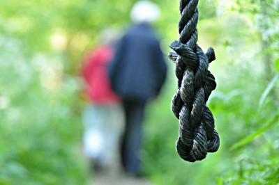 Lawyer found hanging from tree in UP district