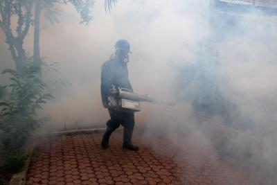 Zika infection enhances dengue disease risk: Study