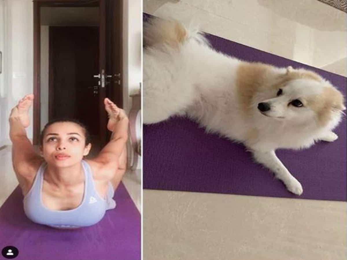 Malaika Arora shares glimpse of yoga session with pet Casper