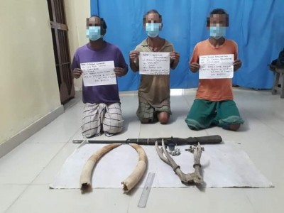 3 poachers held in Assam, elephant tusks, deer horn seized