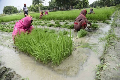 All states allowed to begin paddy procurement: Food Ministry