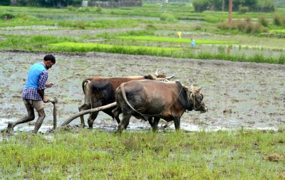 Bureaucrats ignored 15,000 suggestions says farmers' body affiliated to RSS