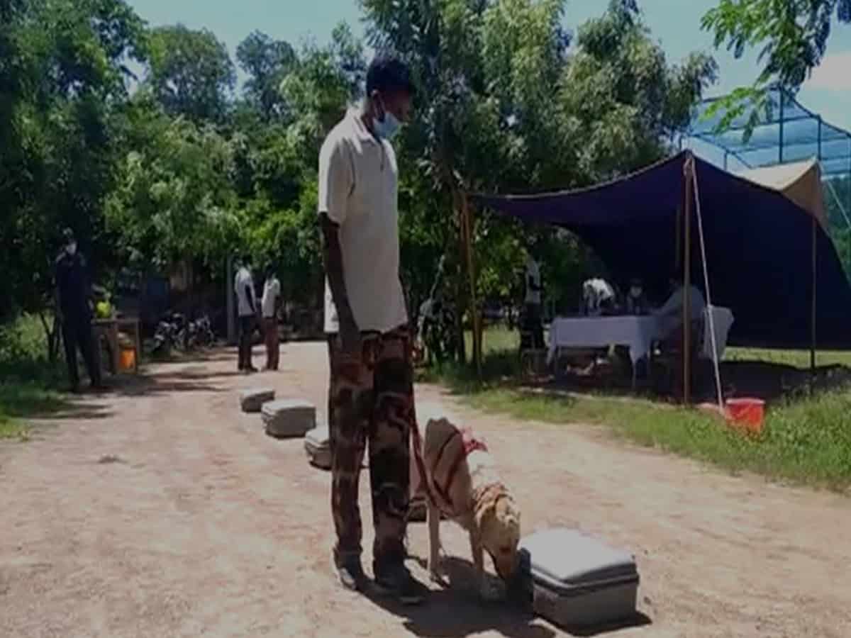 Andhra Pradesh intelligence department conducts police dog test