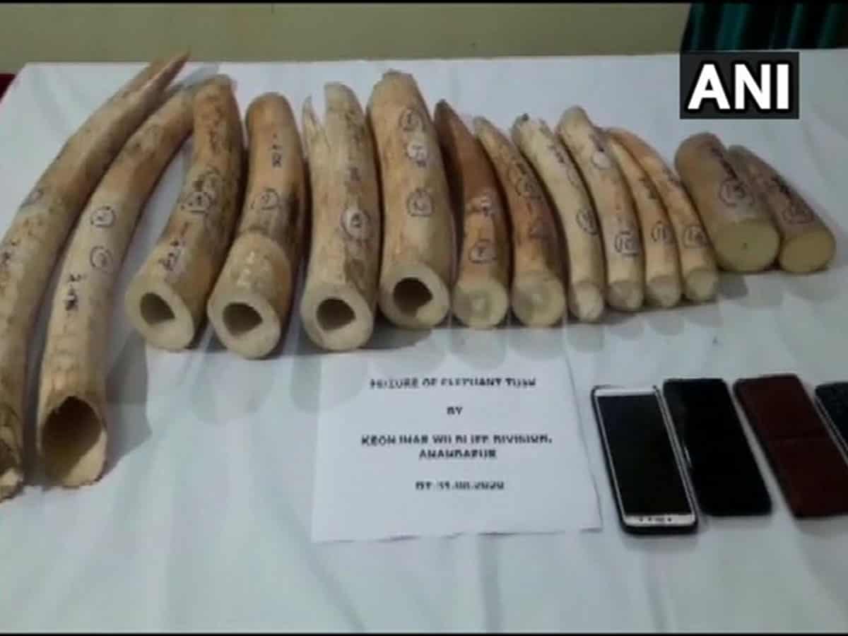 Three held with 19 kg elephant tusks in Odisha's Keonjhar