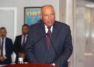 Egypt FM urges int'l seriousness to reach political settlement in Libya