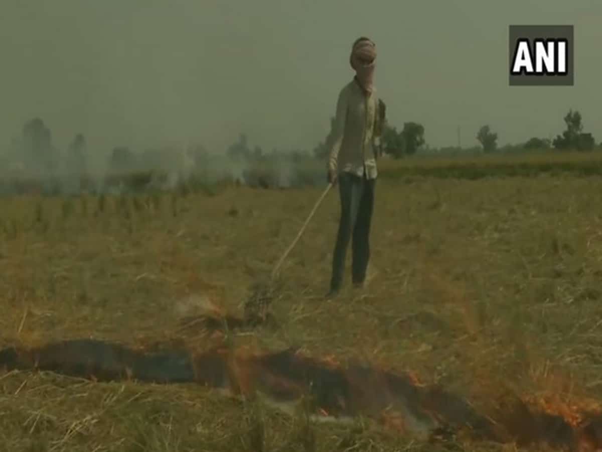 Amritsar farmers continue to burn stubble as alternative methods are expensive