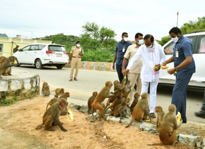 KCR feeds bananas to monkeys at Yadadri