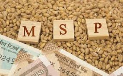 NCDC sanctions Rs 19,444 cr to states as first tranche for MSP operations