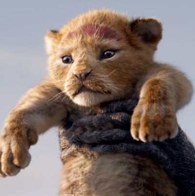 'The Lion King' to have a follow-up