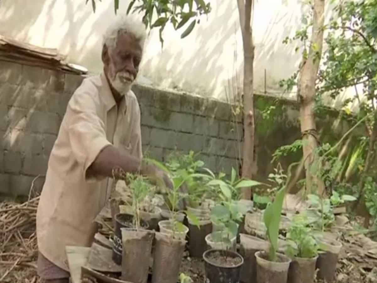 79-yr-old roadside sapling seller's sales double after viral photo