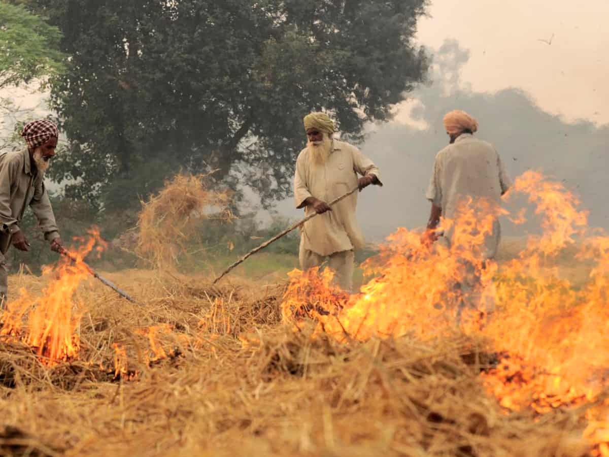 Delhi's air quality to turn 'poor' as stubble burning increases