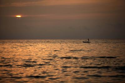 Climate change responsible for record sea temperature levels: Study