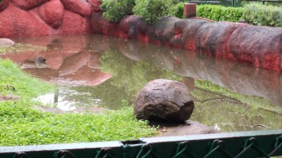 Hyderabad zoo shut due to waterlogging after rains