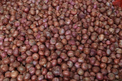 India bans exports of onion seeds