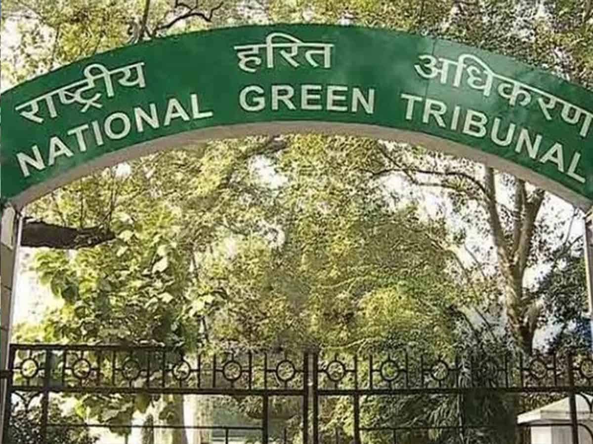 NGT asks Delhi govt to take proper steps for bio-medical waste