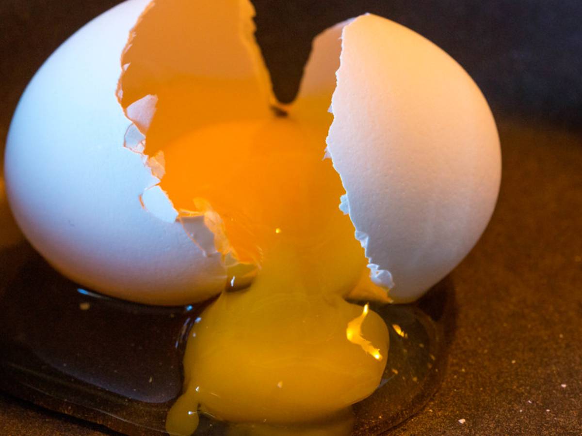 Importance of eggs to boost immunity on Worlds Egg day