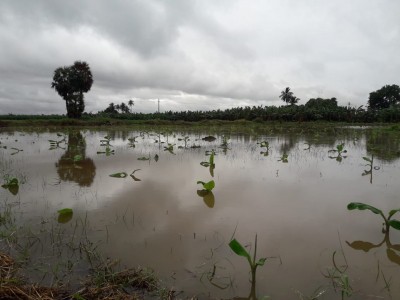 No respite from rain in Andhra, heavy forecast for 3 days