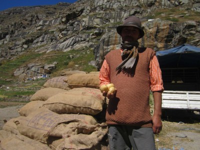 Potatoes of Himachal's cold deserts sell like hotcakes