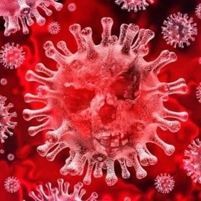 Previous coronaviruses infection may lessen severity of Covid-19