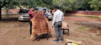 Tiger skin, claws seized from astrologer's house in Karnataka